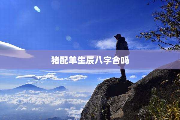 猪配羊生辰八字合吗