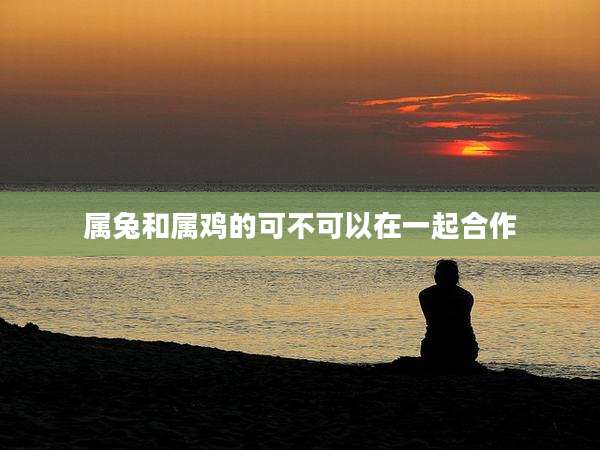 属兔和属鸡的可不可以在一起合作