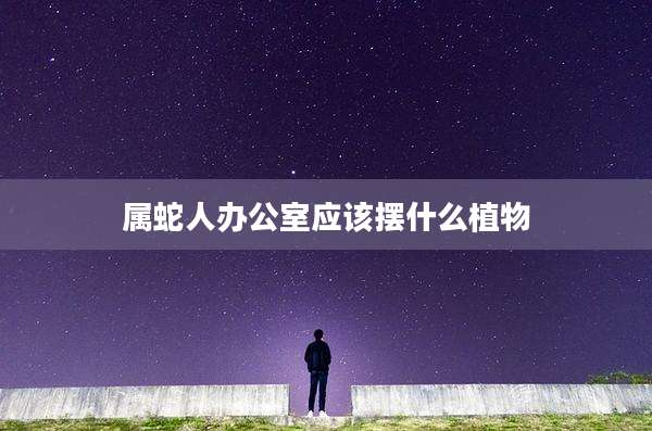 属蛇人办公室应该摆什么植物