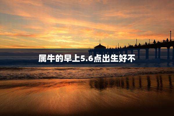 属牛的早上5.6点出生好不