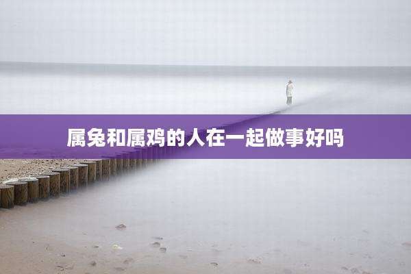 属兔和属鸡的人在一起做事好吗