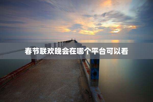 春节联欢晚会在哪个平台可以看