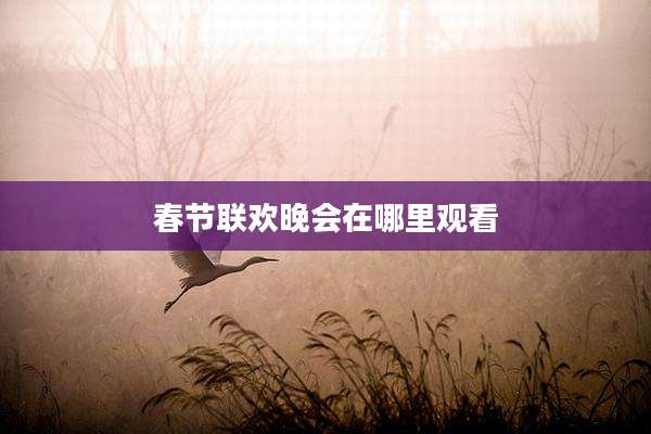 春节联欢晚会在哪里观看