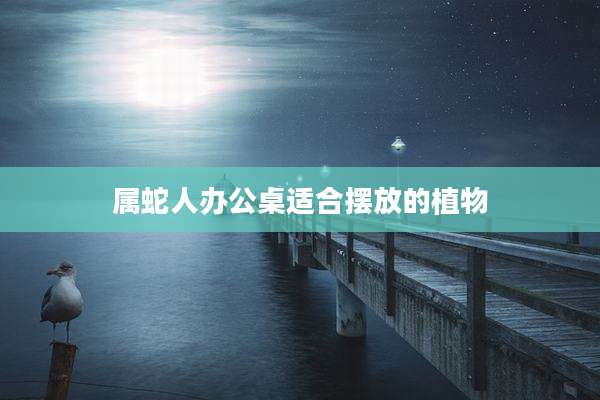 属蛇人办公桌适合摆放的植物