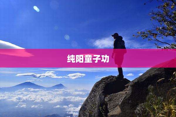 纯阳童子功