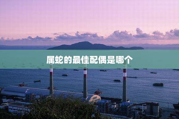 属蛇的最佳配偶是哪个
