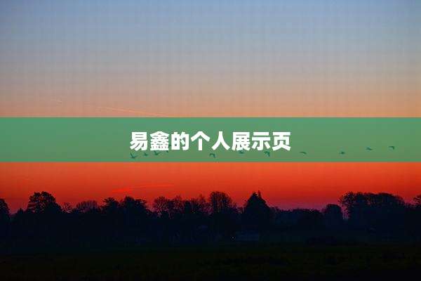 易鑫的个人展示页