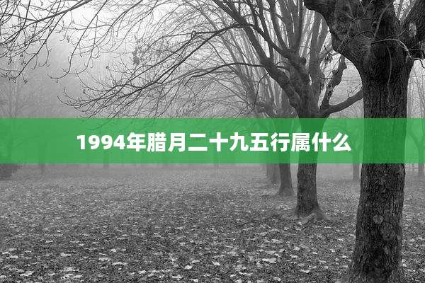 1994年腊月二十九五行属什么