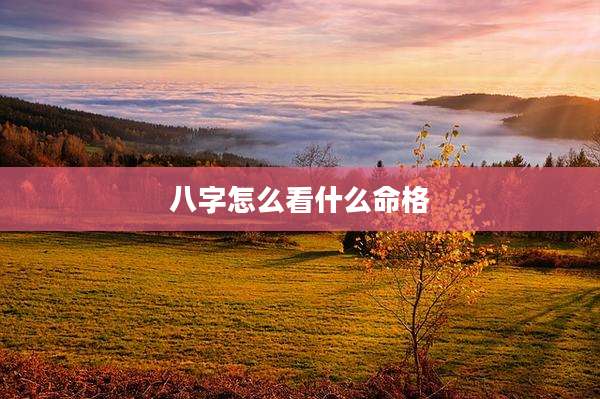 八字怎么看什么命格