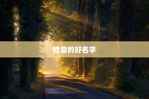 姓雷的好名字