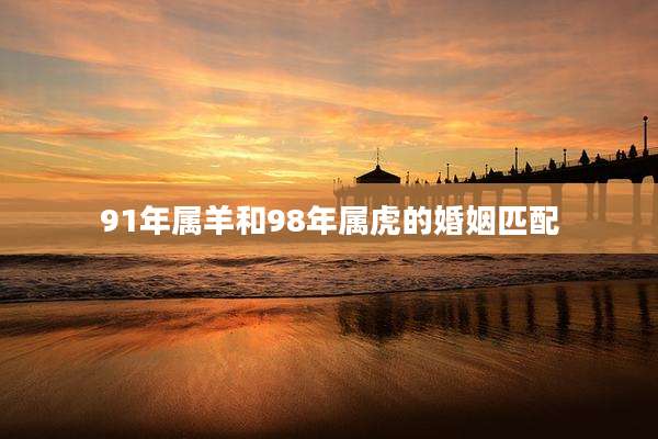 91年属羊和98年属虎的婚姻匹配