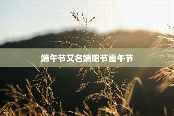 端午节又名端阳节重午节