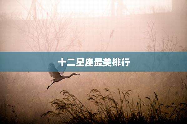 十二星座最美排行