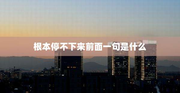 根本停不下来前面一句是什么