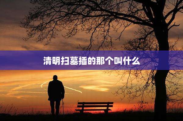 清明扫墓插的那个叫什么