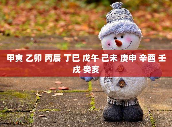 甲寅 乙卯 丙辰 丁巳 戊午 己未 庚申 辛酉 壬戌 癸亥