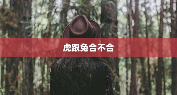 虎跟兔合不合