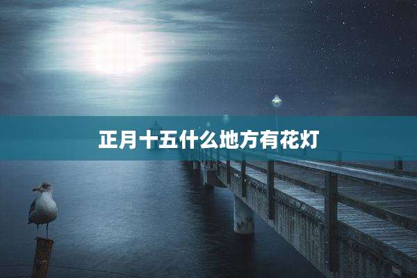 正月十五什么地方有花灯