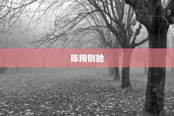 陈翔侧脸