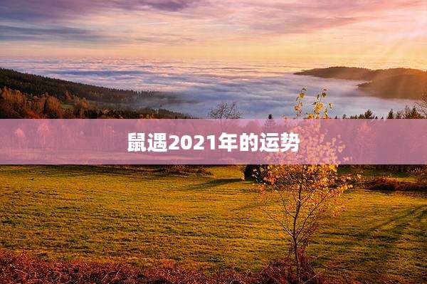 鼠遇2021年的运势