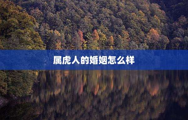 属虎人的婚姻怎么样