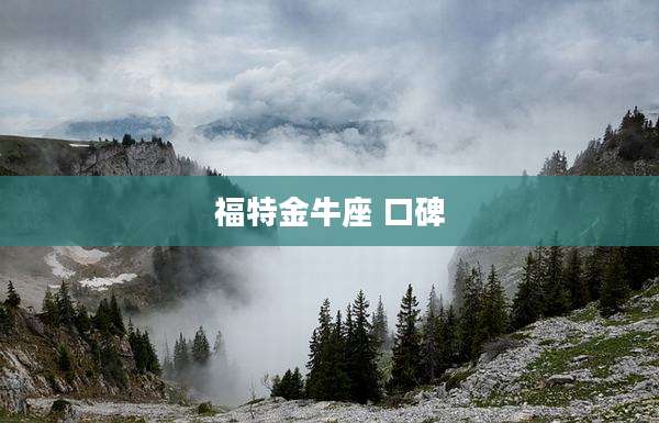 福特金牛座 口碑
