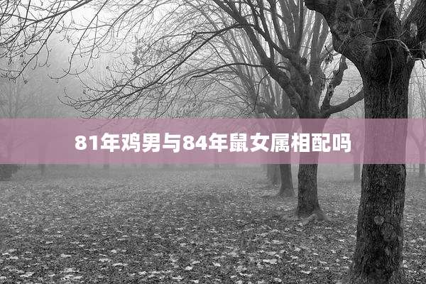 81年鸡男与84年鼠女属相配吗