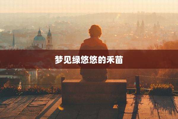 梦见绿悠悠的禾苗