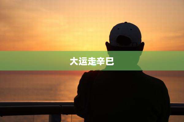 大运走辛巳