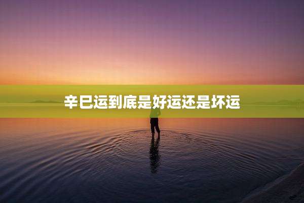 辛巳运到底是好运还是坏运