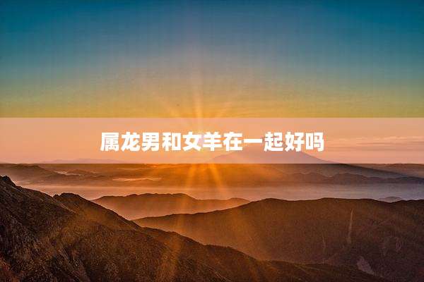 属龙男和女羊在一起好吗