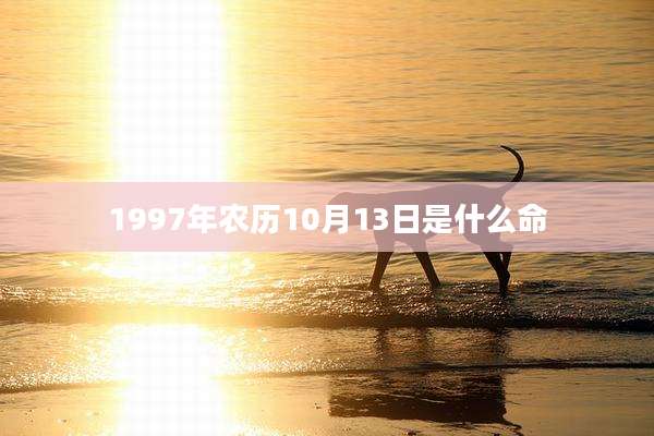 1997年农历10月13日是什么命