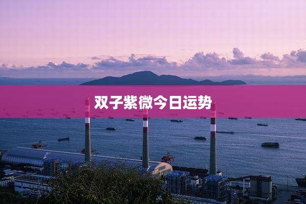 双子紫微今日运势