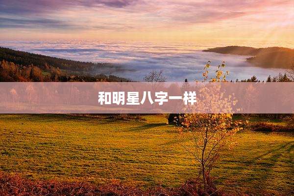 和明星八字一样