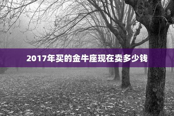 2017年买的金牛座现在卖多少钱
