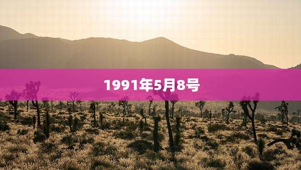 1991年5月8号