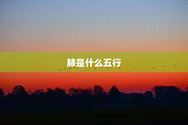 肺是什么五行