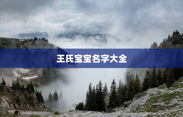 王氏宝宝名字大全