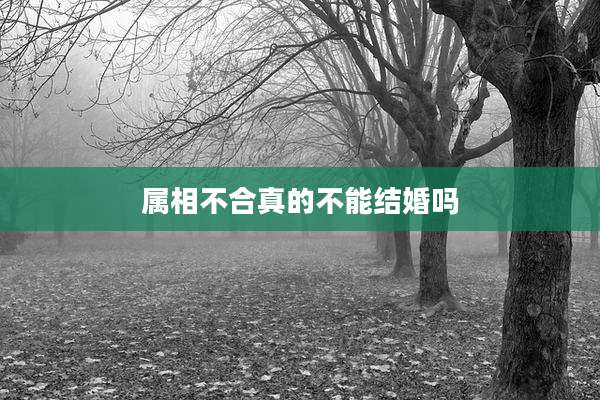 属相不合真的不能结婚吗