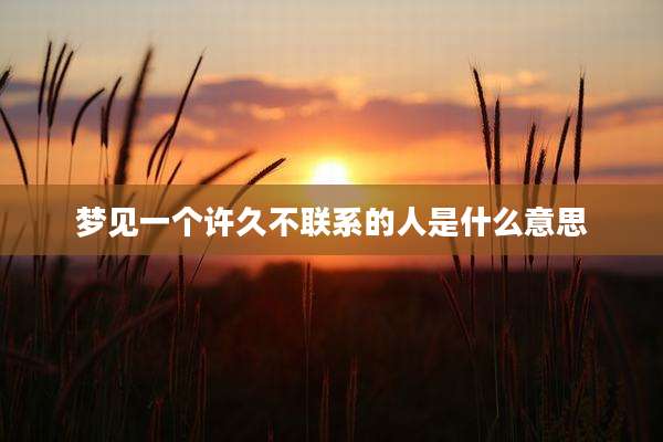 梦见一个许久不联系的人是什么意思