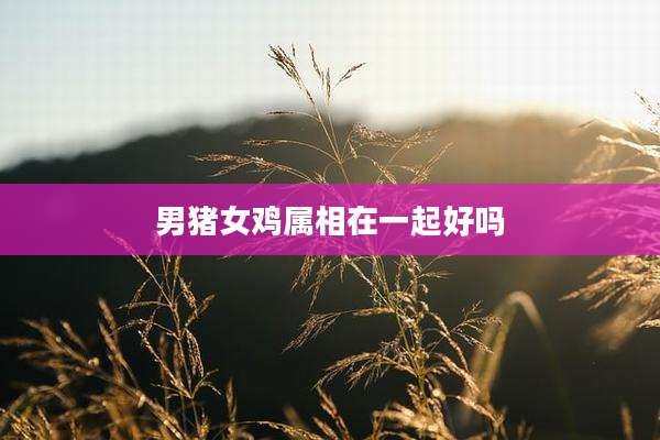 男猪女鸡属相在一起好吗