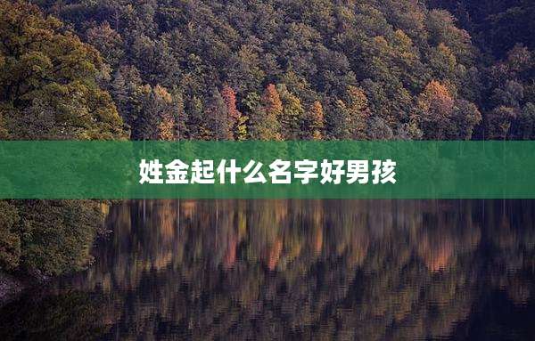 姓金起什么名字好男孩