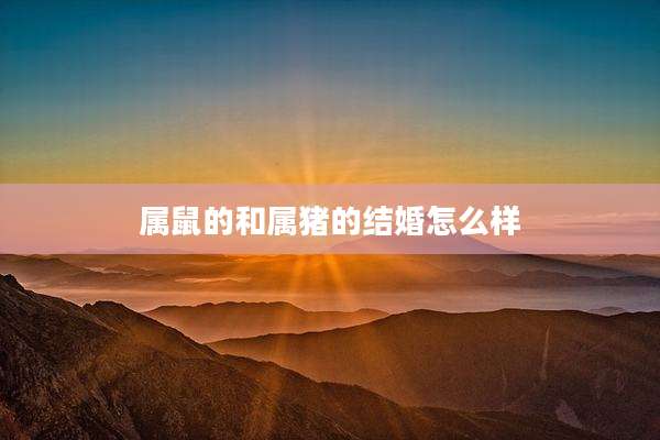 属鼠的和属猪的结婚怎么样