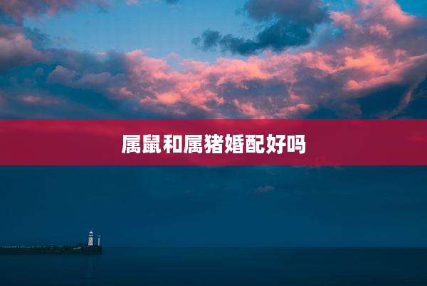 属鼠和属猪婚配好吗