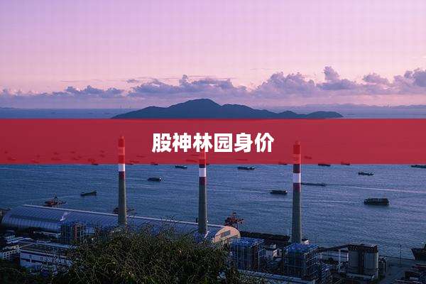 股神林园身价