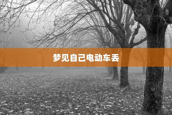 梦见自己电动车丢