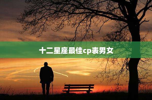 十二星座最佳cp表男女