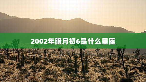 2002年腊月初6是什么星座