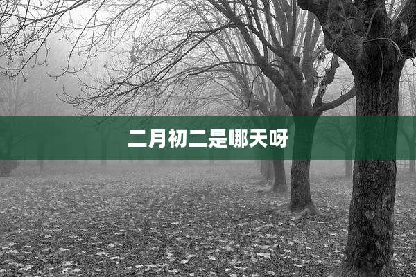 二月初二是哪天呀