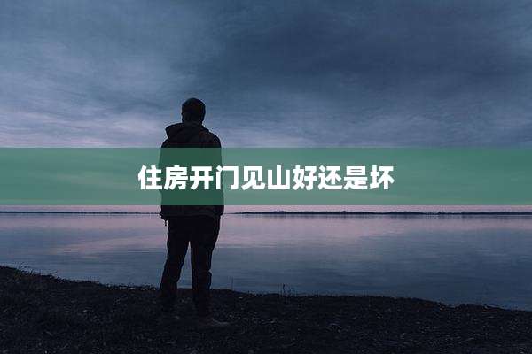 住房开门见山好还是坏